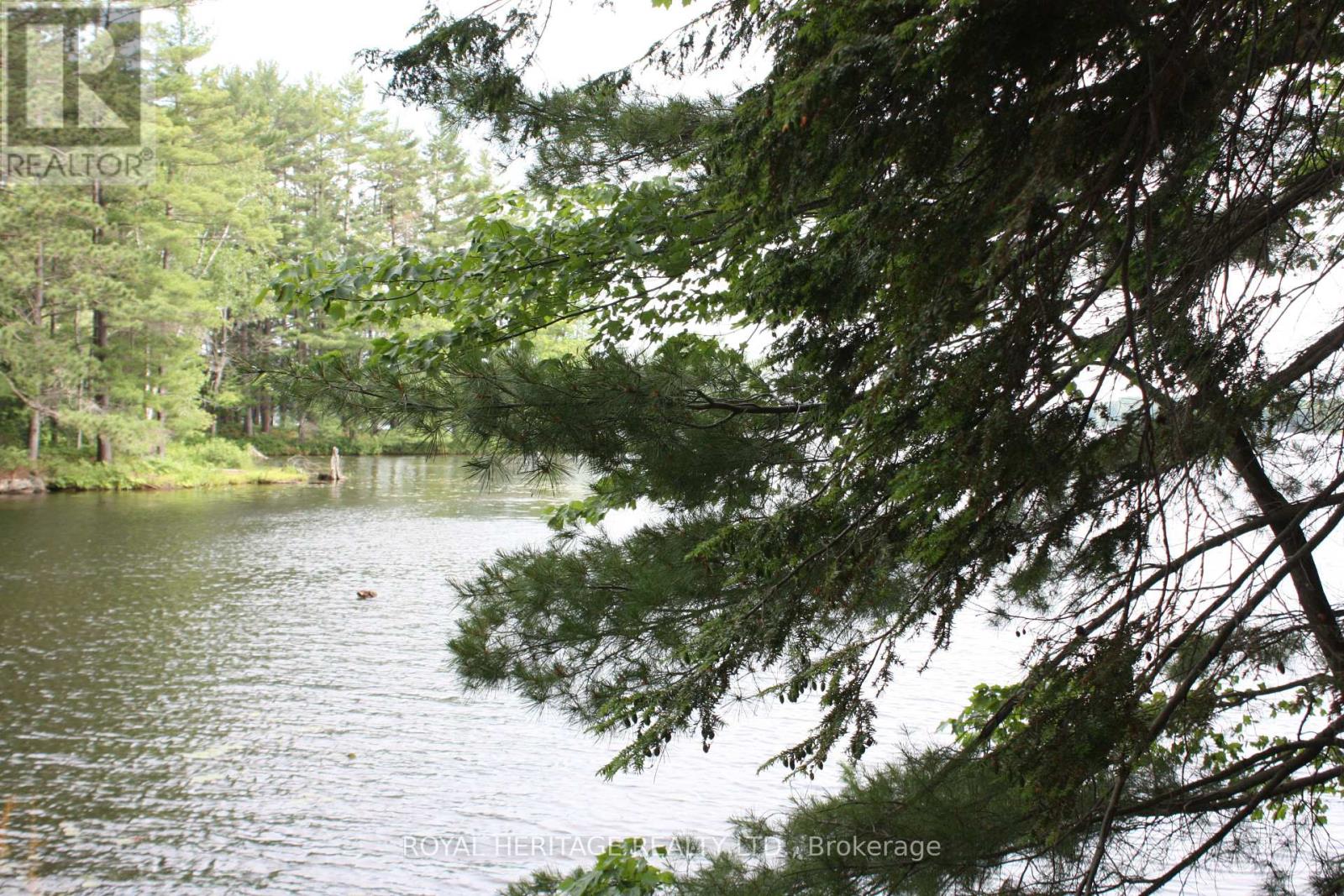 Photo 2 of Lot 2 N A Wao Kasshabog Lake, Havelockbelmontmethuen ON