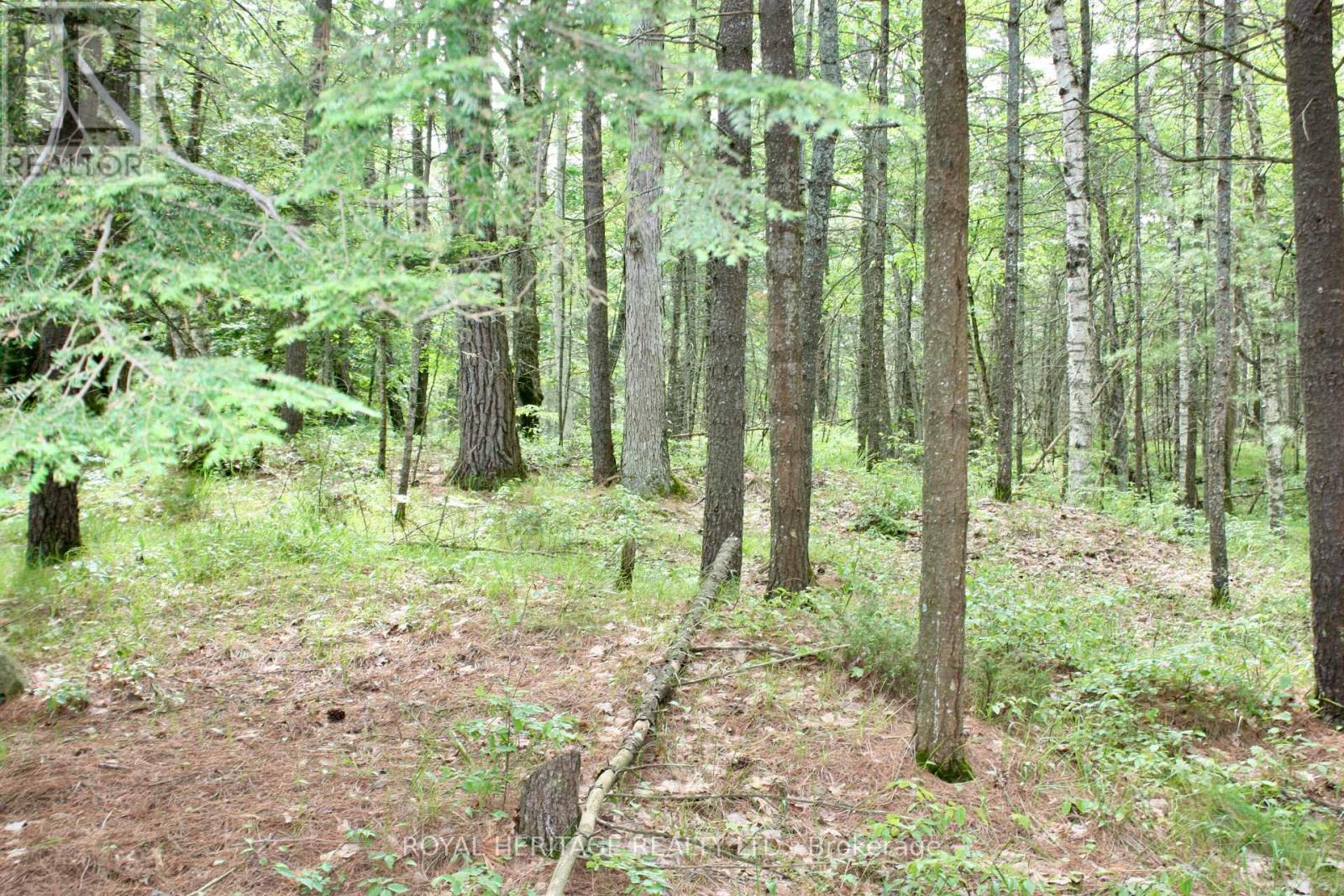 Photo 4 of Lot 2 N A Wao Kasshabog Lake, Havelockbelmontmethuen ON