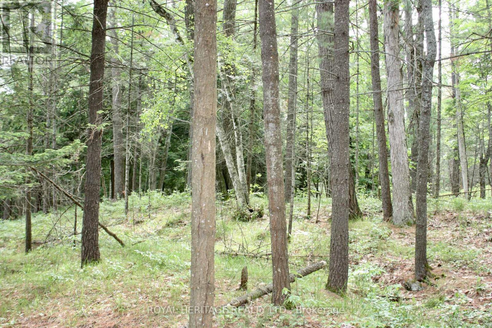 Photo 6 of Lot 2 N A Wao Kasshabog Lake, Havelockbelmontmethuen ON
