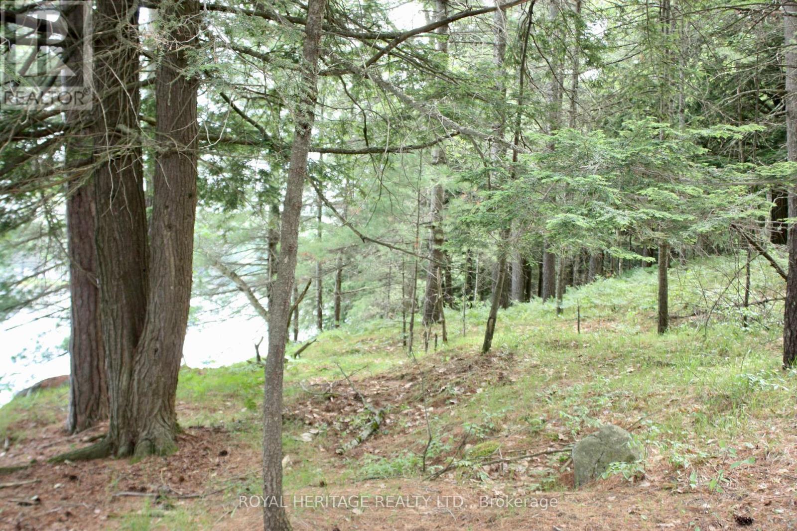 Photo 7 of Lot 2 N A Wao Kasshabog Lake, Havelockbelmontmethuen ON