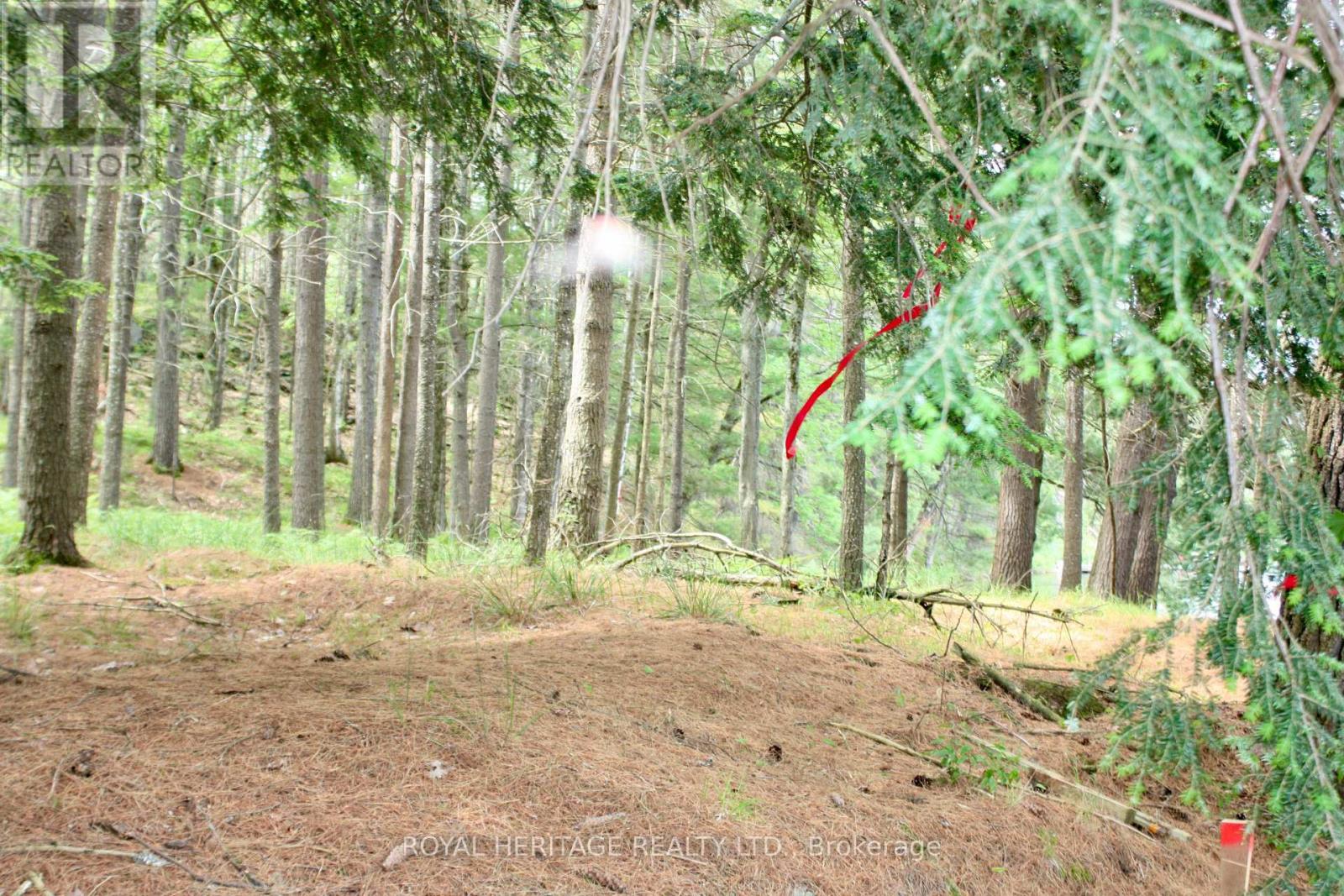 Photo 8 of Lot 2 N A Wao Kasshabog Lake, Havelockbelmontmethuen ON