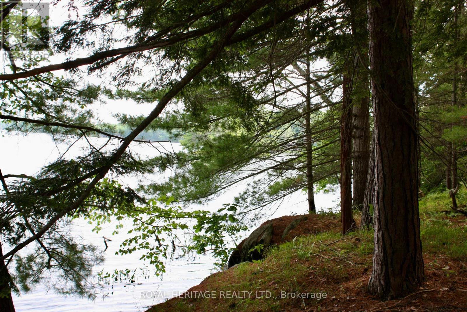 Photo 9 of Lot 2 N A Wao Kasshabog Lake, Havelockbelmontmethuen ON