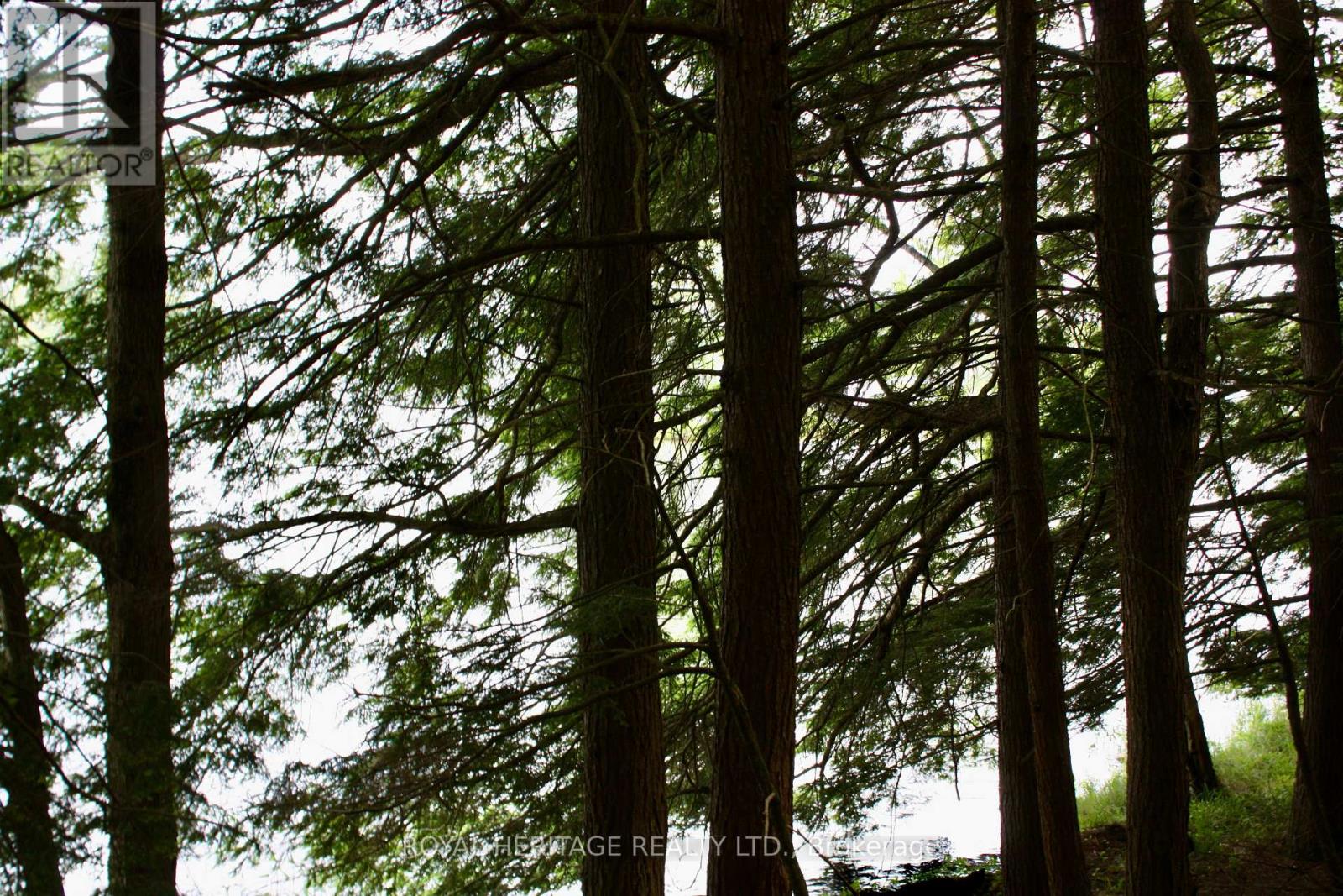 Photo 10 of Lot 3 N A Wao Kasshabog Lake, Havelockbelmontmethuen ON
