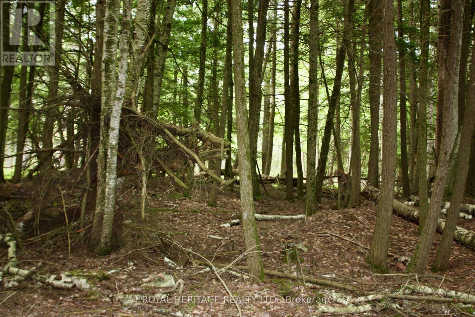 Photo 12 of Lot 3 N A Wao Kasshabog Lake, Havelockbelmontmethuen ON