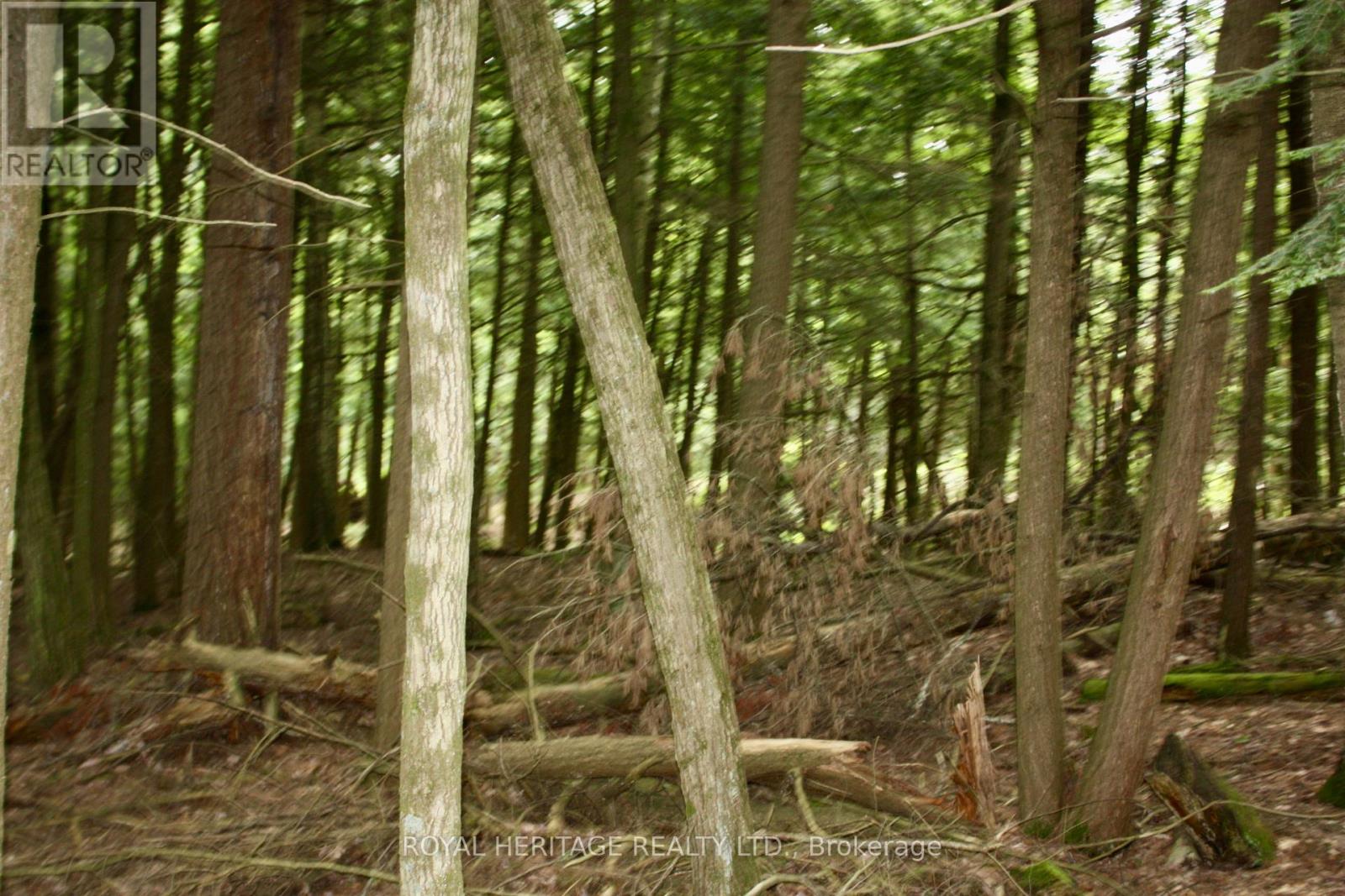 Photo 14 of Lot 3 N A Wao Kasshabog Lake, Havelockbelmontmethuen ON