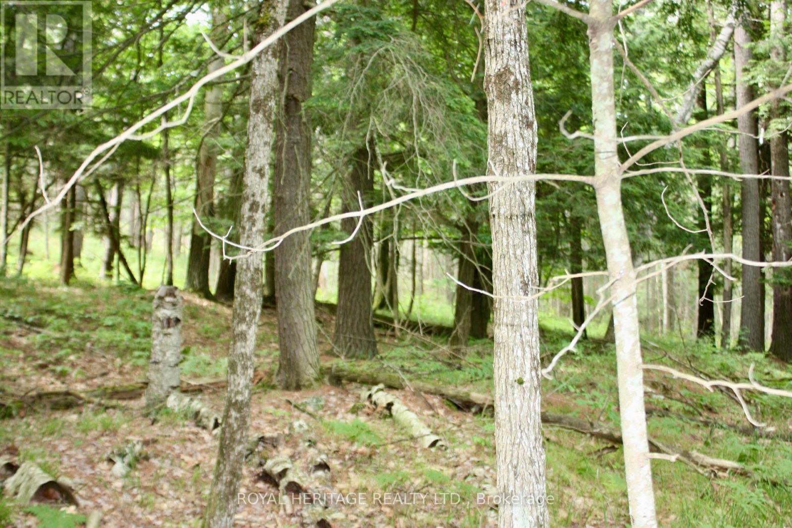 Photo 5 of Lot 3 N A Wao Kasshabog Lake, Havelockbelmontmethuen ON