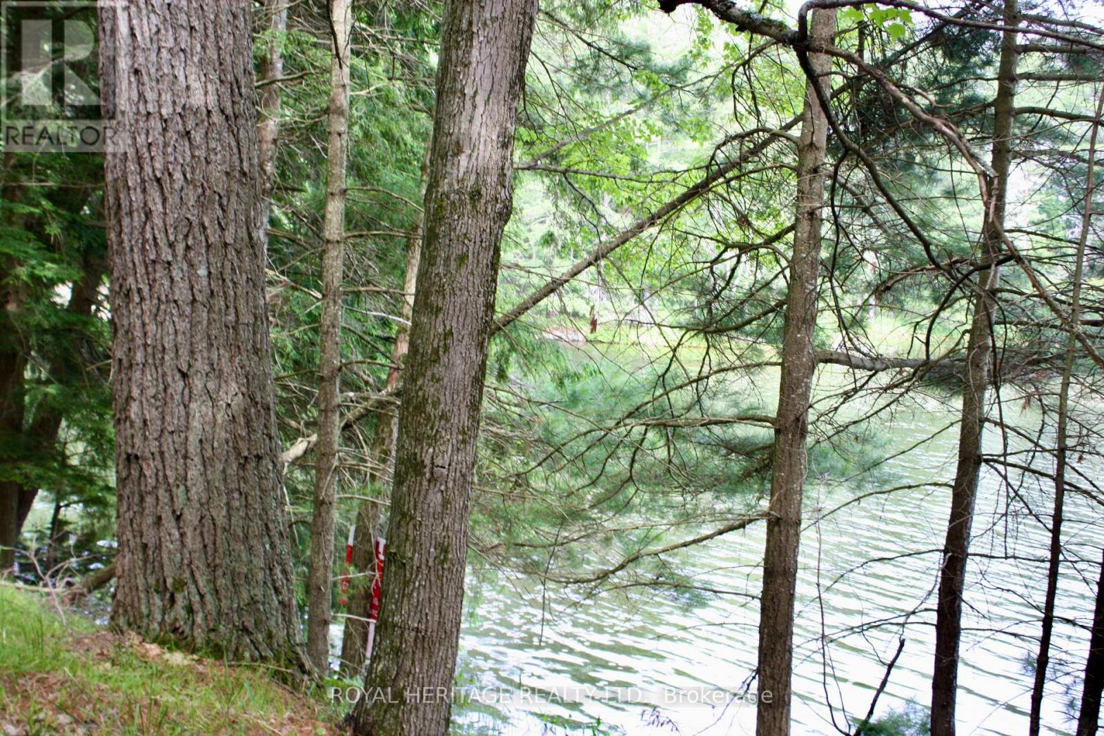 Photo 6 of Lot 3 N A Wao Kasshabog Lake, Havelockbelmontmethuen ON