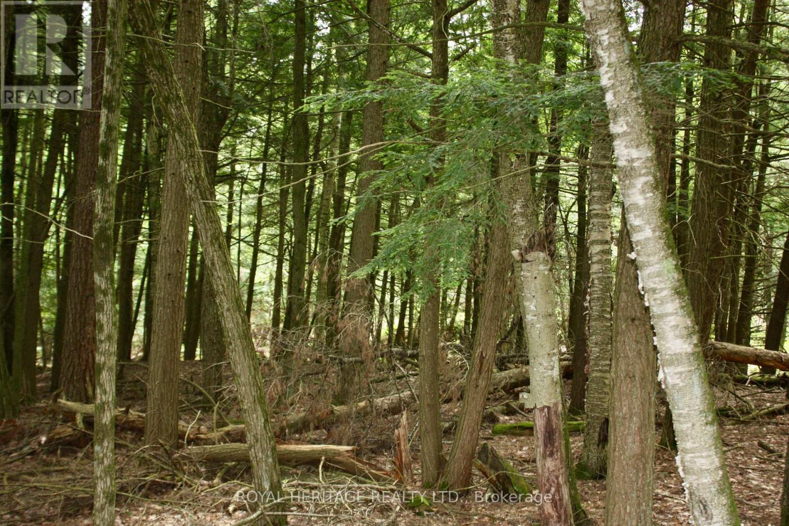 Photo 7 of Lot 3 N A Wao Kasshabog Lake, Havelockbelmontmethuen ON