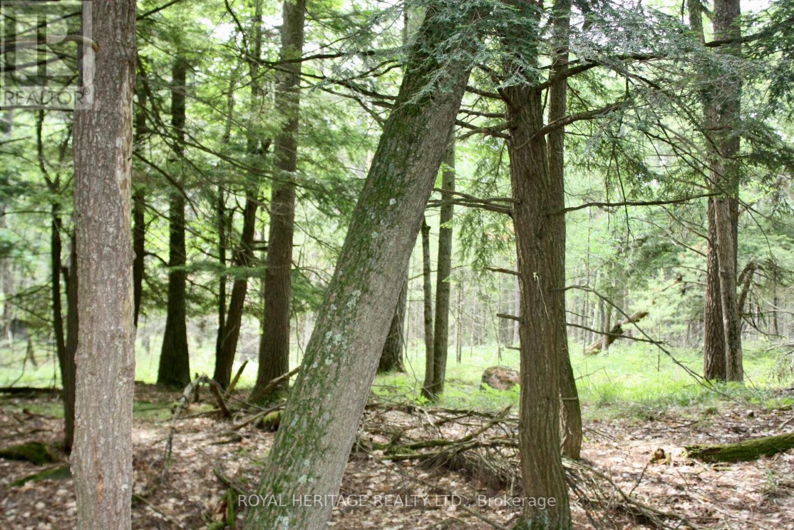 Photo 8 of Lot 3 N A Wao Kasshabog Lake, Havelockbelmontmethuen ON