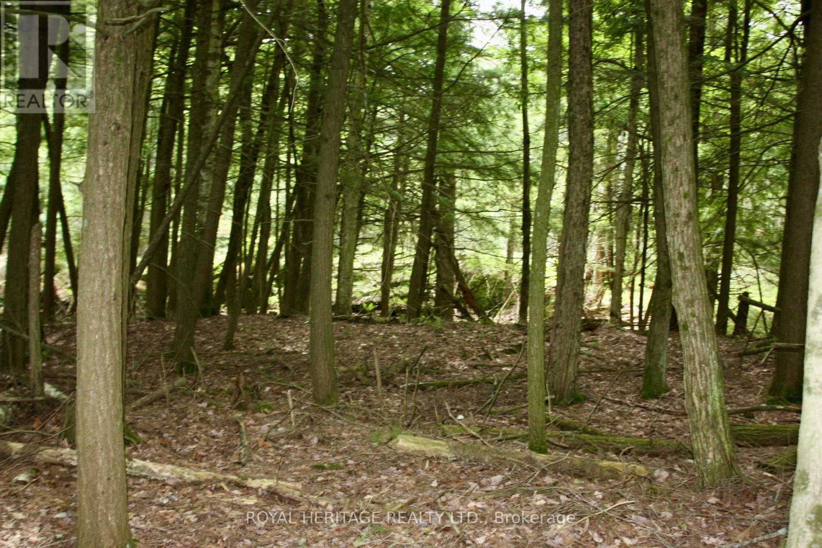 Photo 9 of Lot 3 N A Wao Kasshabog Lake, Havelockbelmontmethuen ON