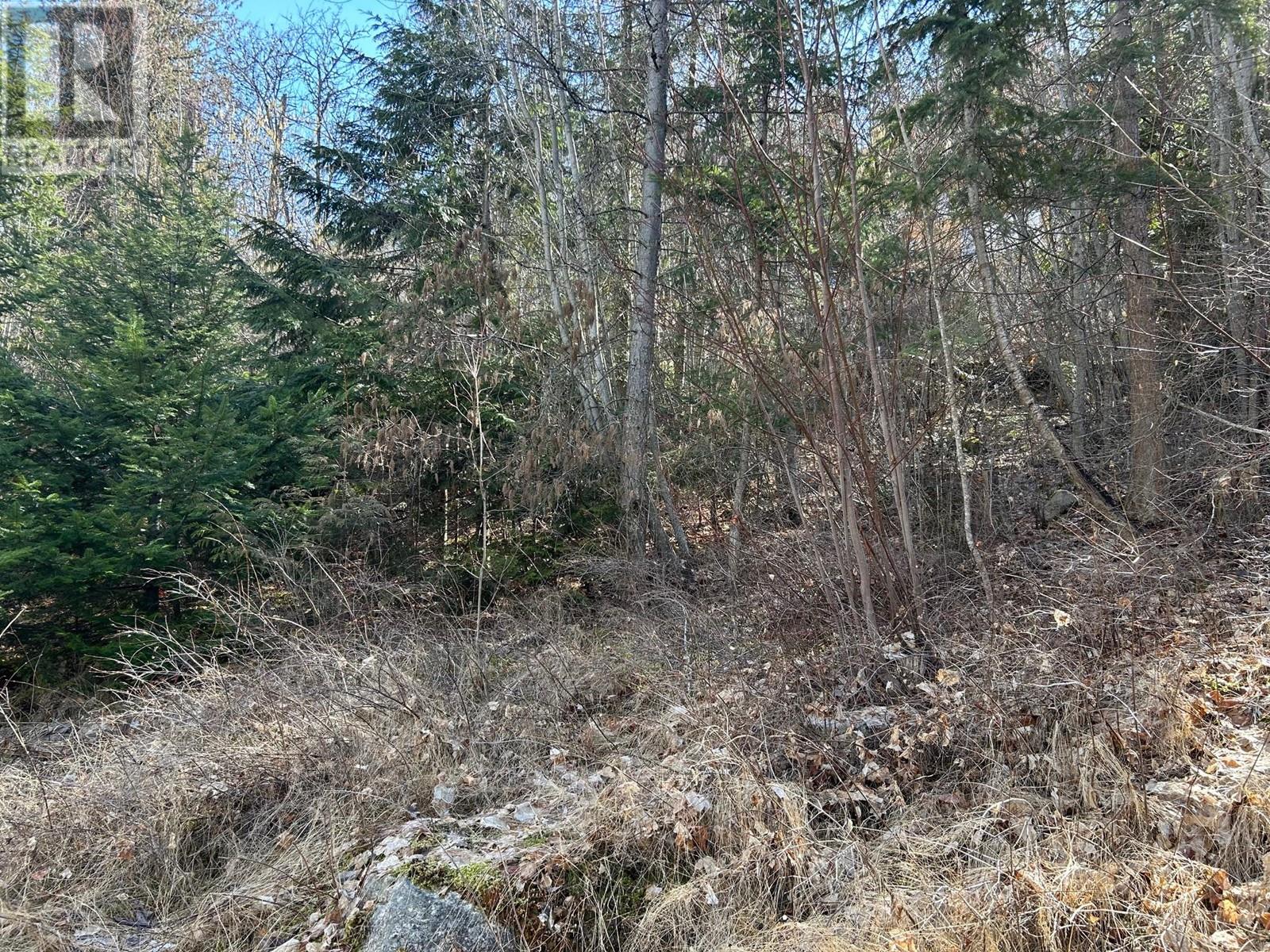 Photo 3 of Lot B Trevor Street, Nelson BC