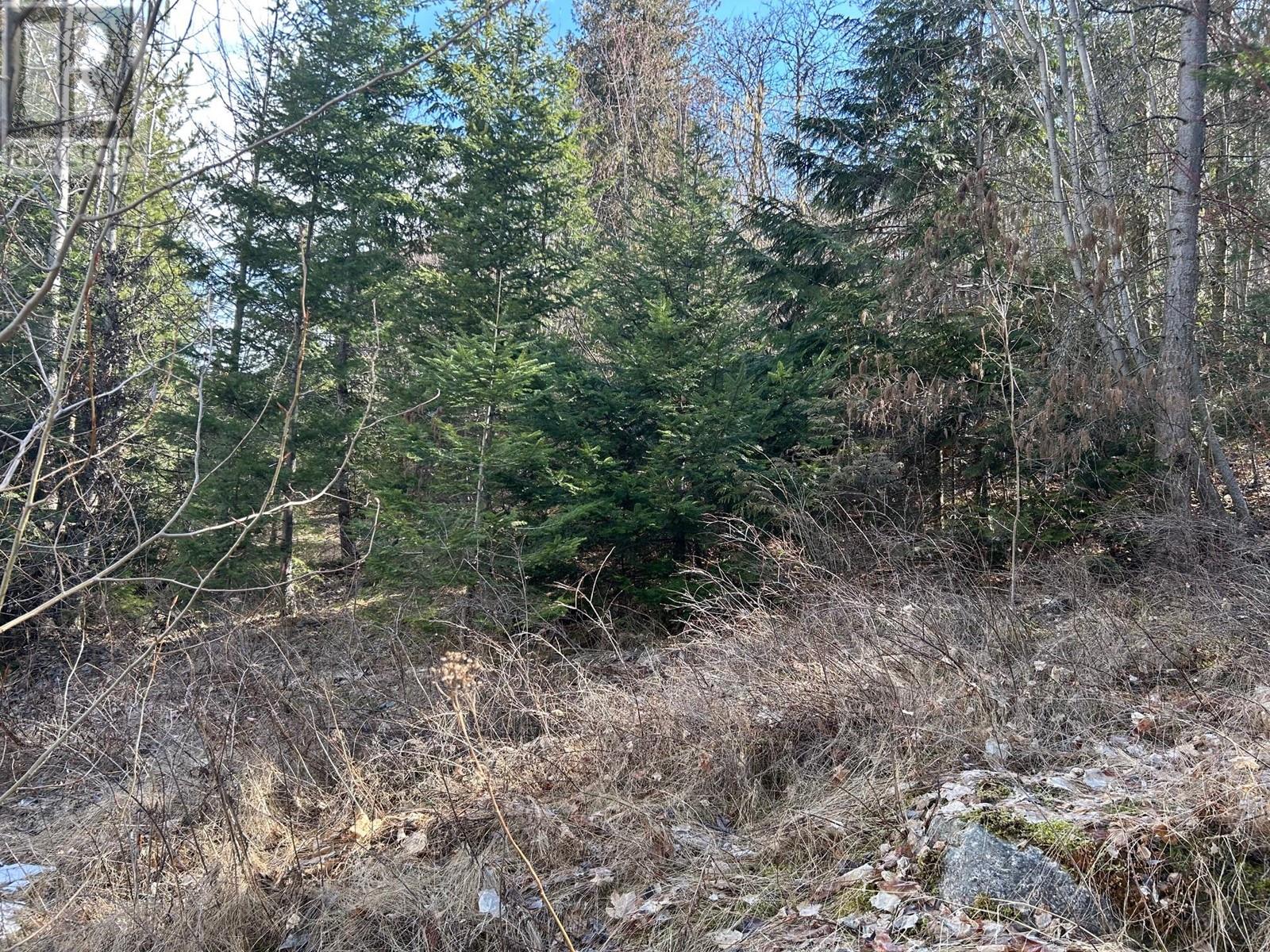 Photo 4 of Lot B Trevor Street, Nelson BC