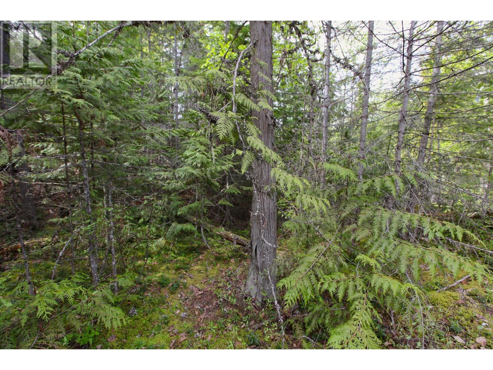 434 LEXINGTON AVENUE - 45