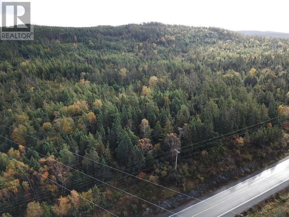 Photo 3 of 15 25 Liam Hickey Drive, Holyrood NL