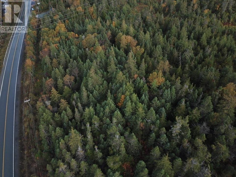 Photo 5 of 15 25 Liam Hickey Drive, Holyrood NL
