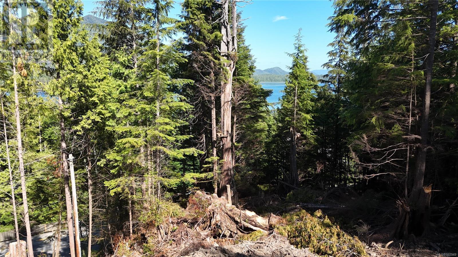 711 & 721 Campbell St, Tofino