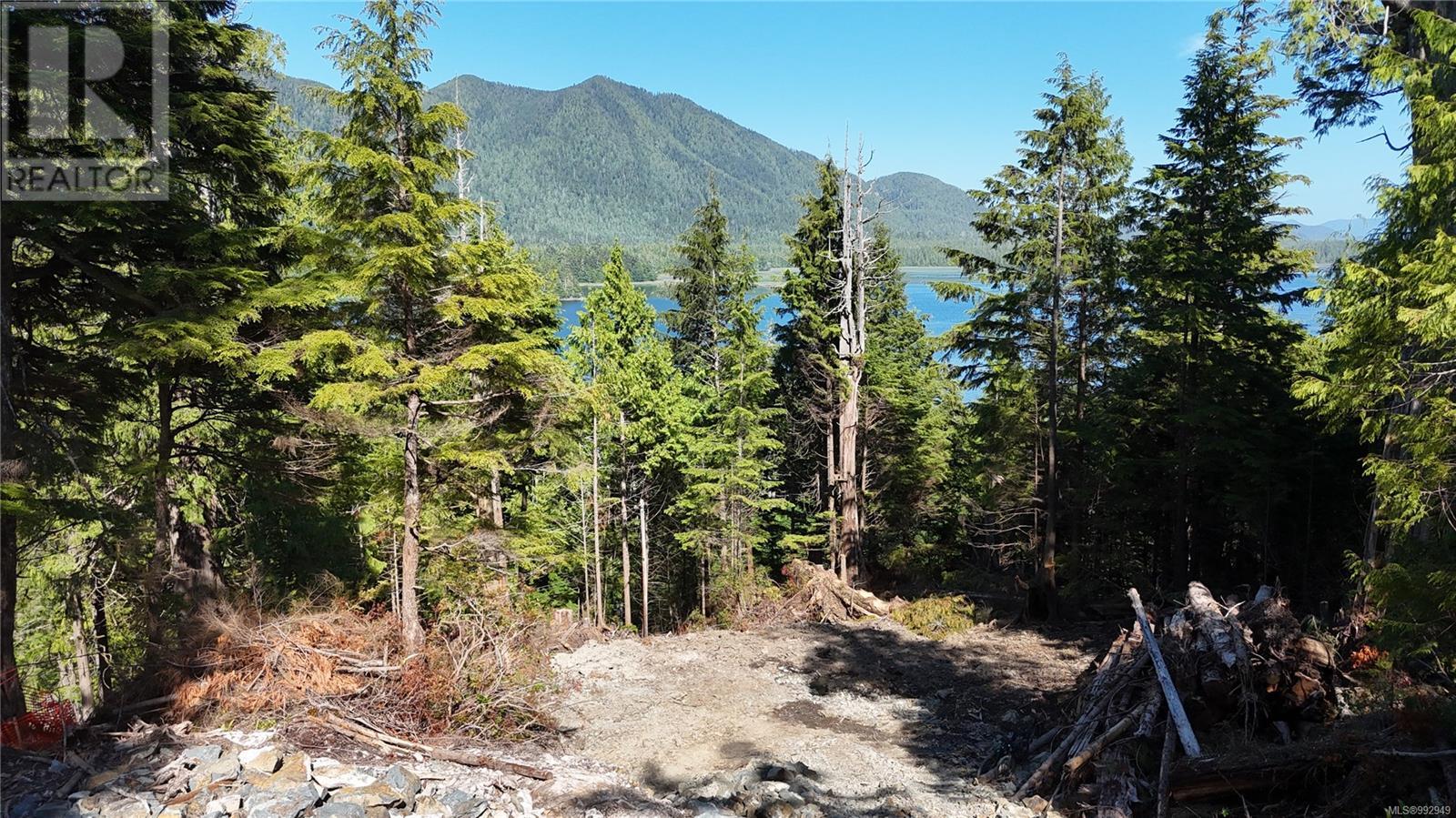 711 & 721 Campbell St, Tofino
