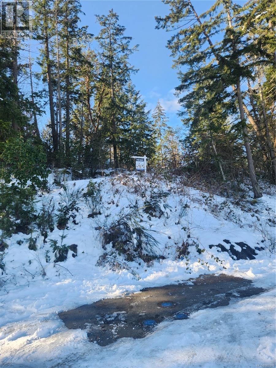 454 Ninth St, Nanaimo real estate listing for sale