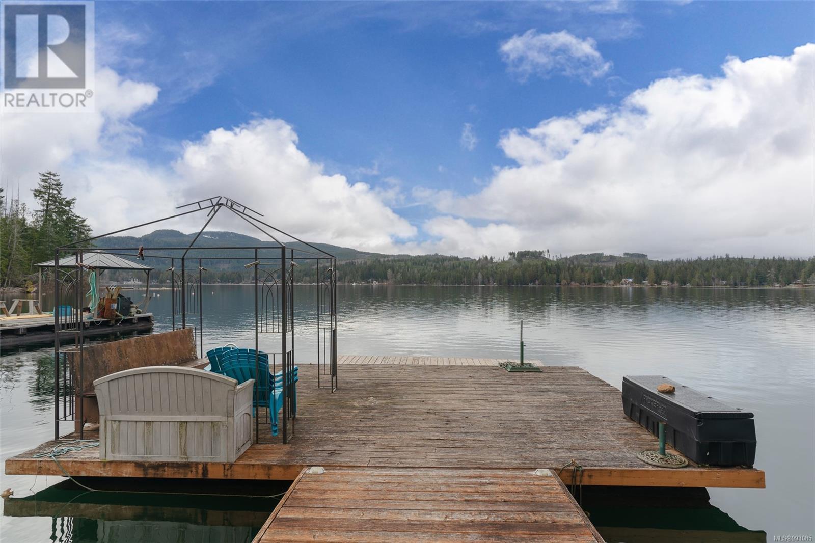 10087 Blower Rd, Port Alberni real estate listing 993085