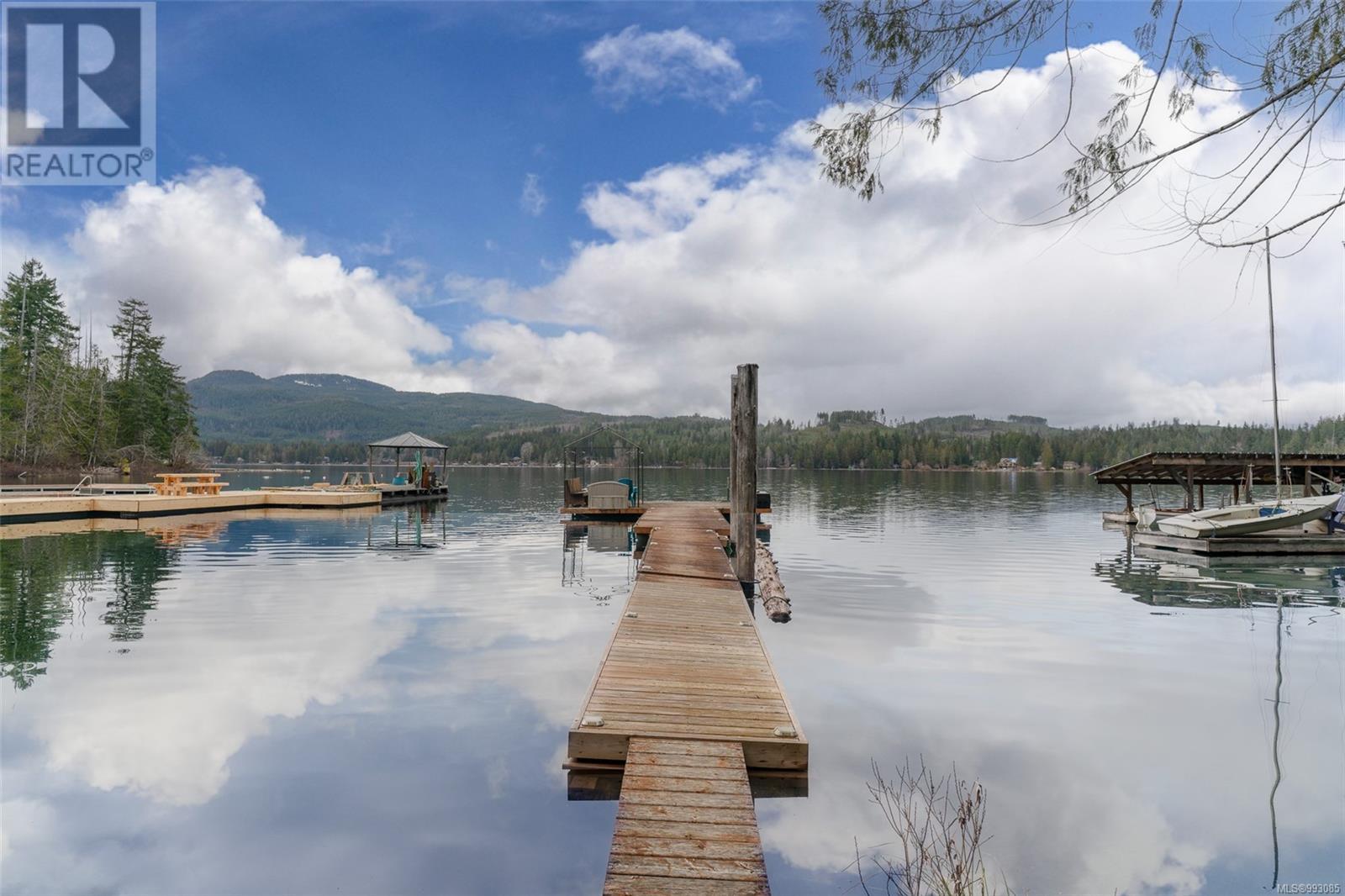 10087 Blower Rd, Port Alberni real estate listing 993085