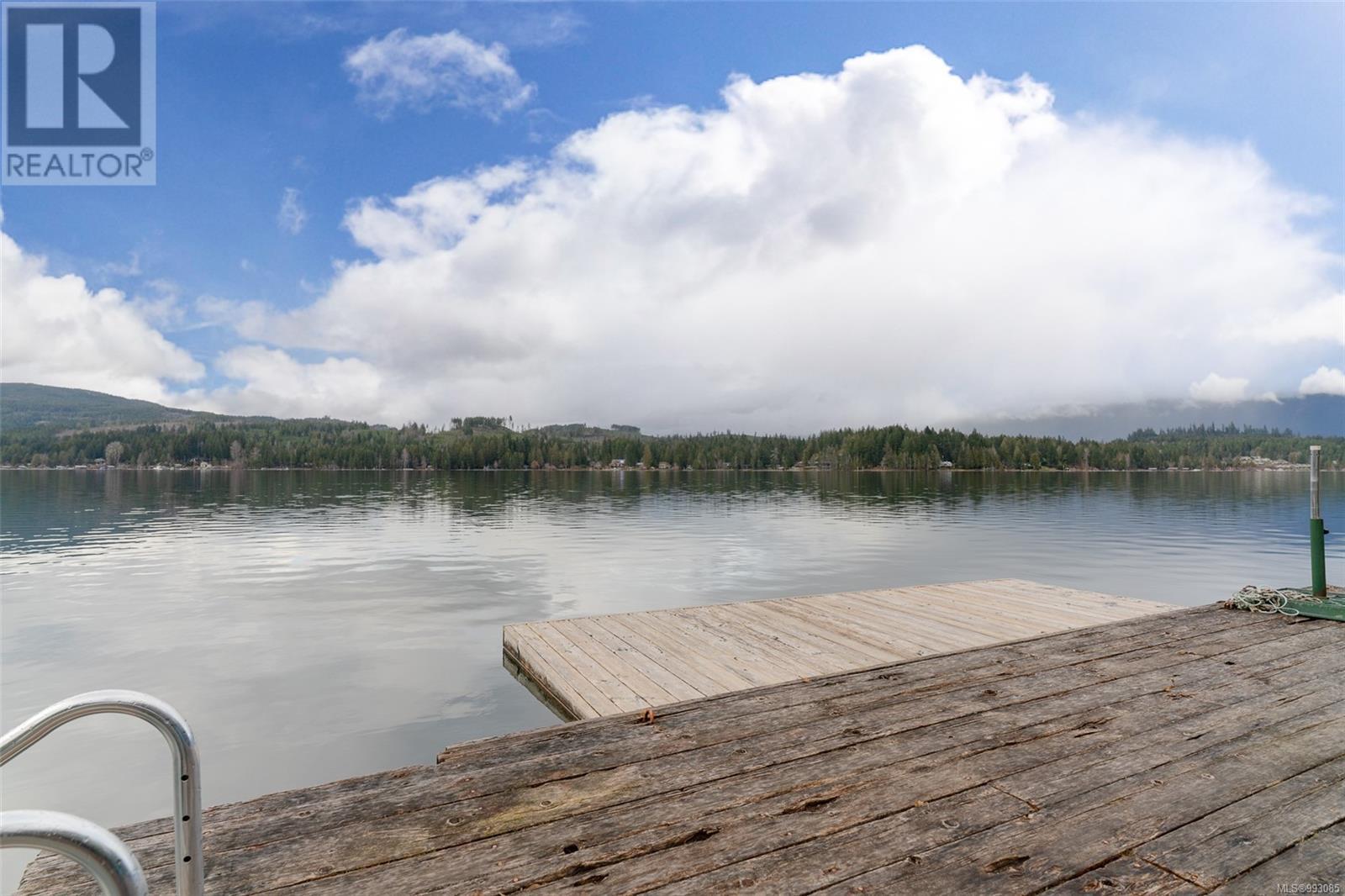 10087 Blower Rd, Port Alberni real estate listing 993085
