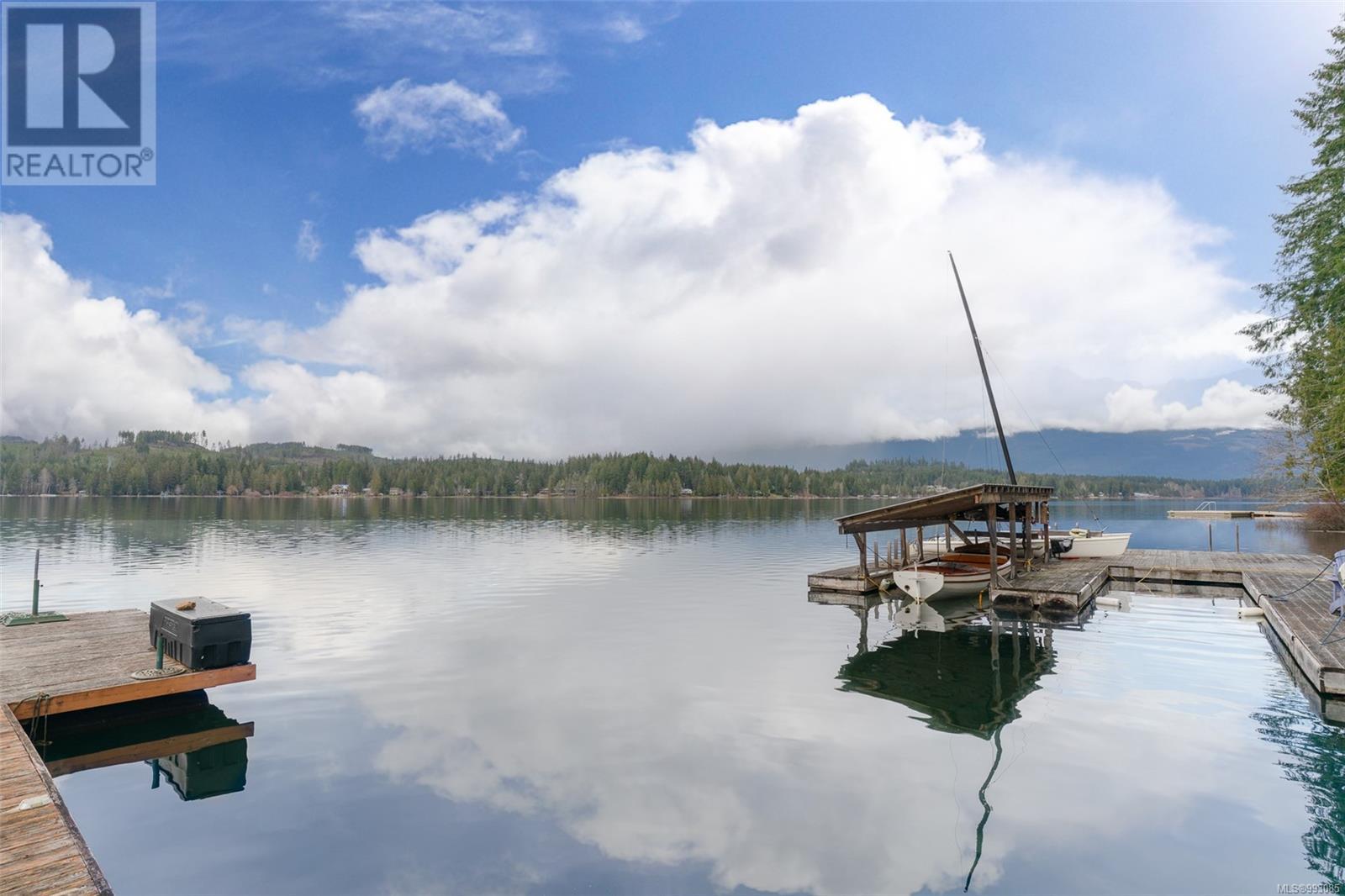 10087 Blower Rd, Port Alberni real estate listing 993085