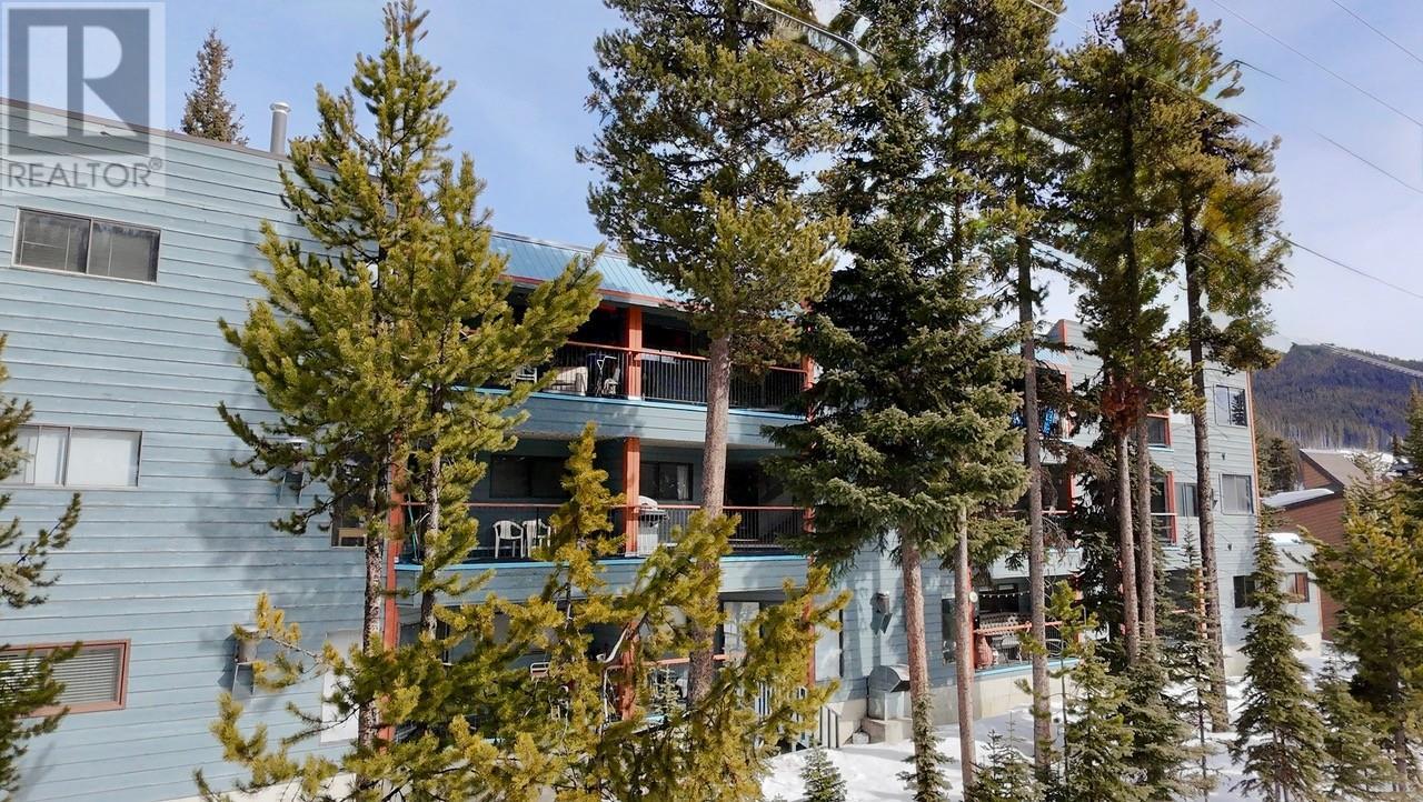 6 (101) 1191 APEX MOUNTAIN Road, Penticton