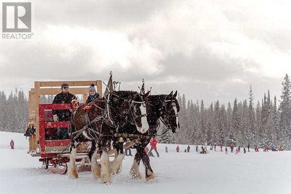  Lot 2 Black Forest Road, Big White
