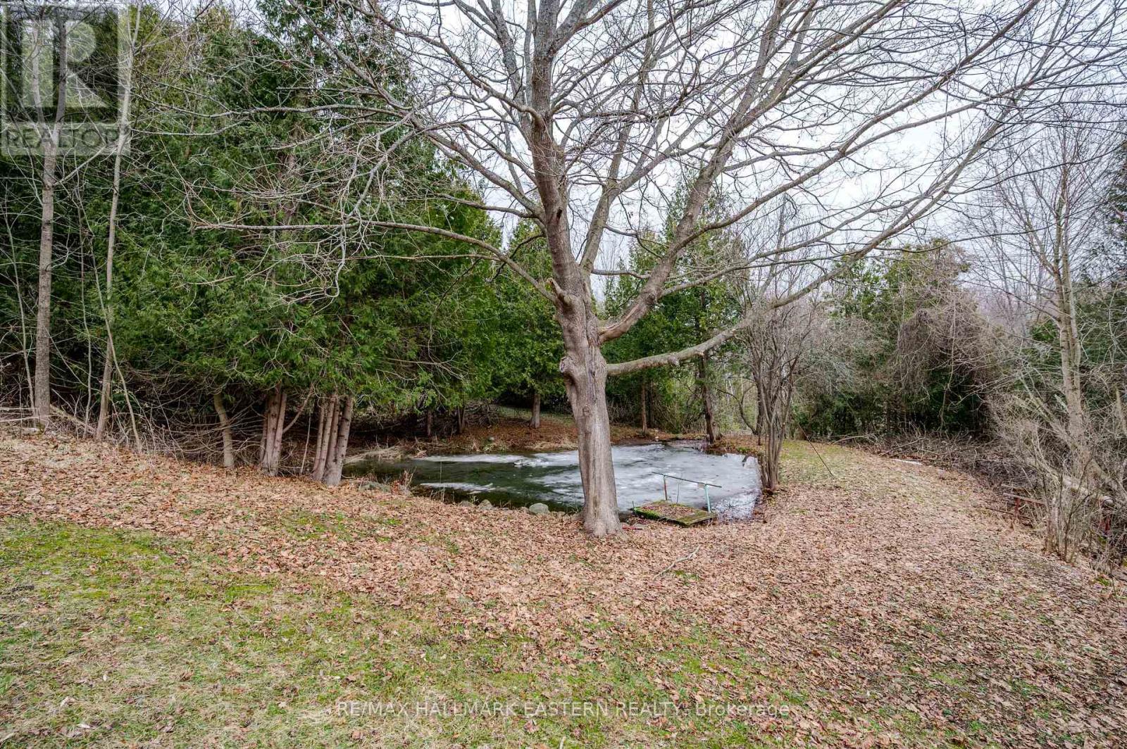 Photo 47 of 521 Concession Rd 8 W, Trent Hills ON