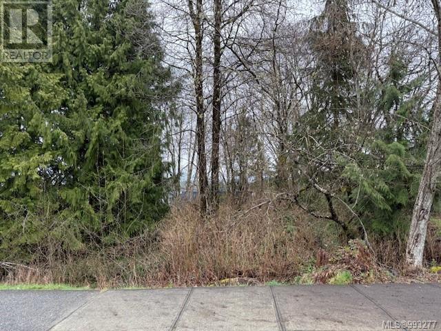8780 Main St, Port Hardy