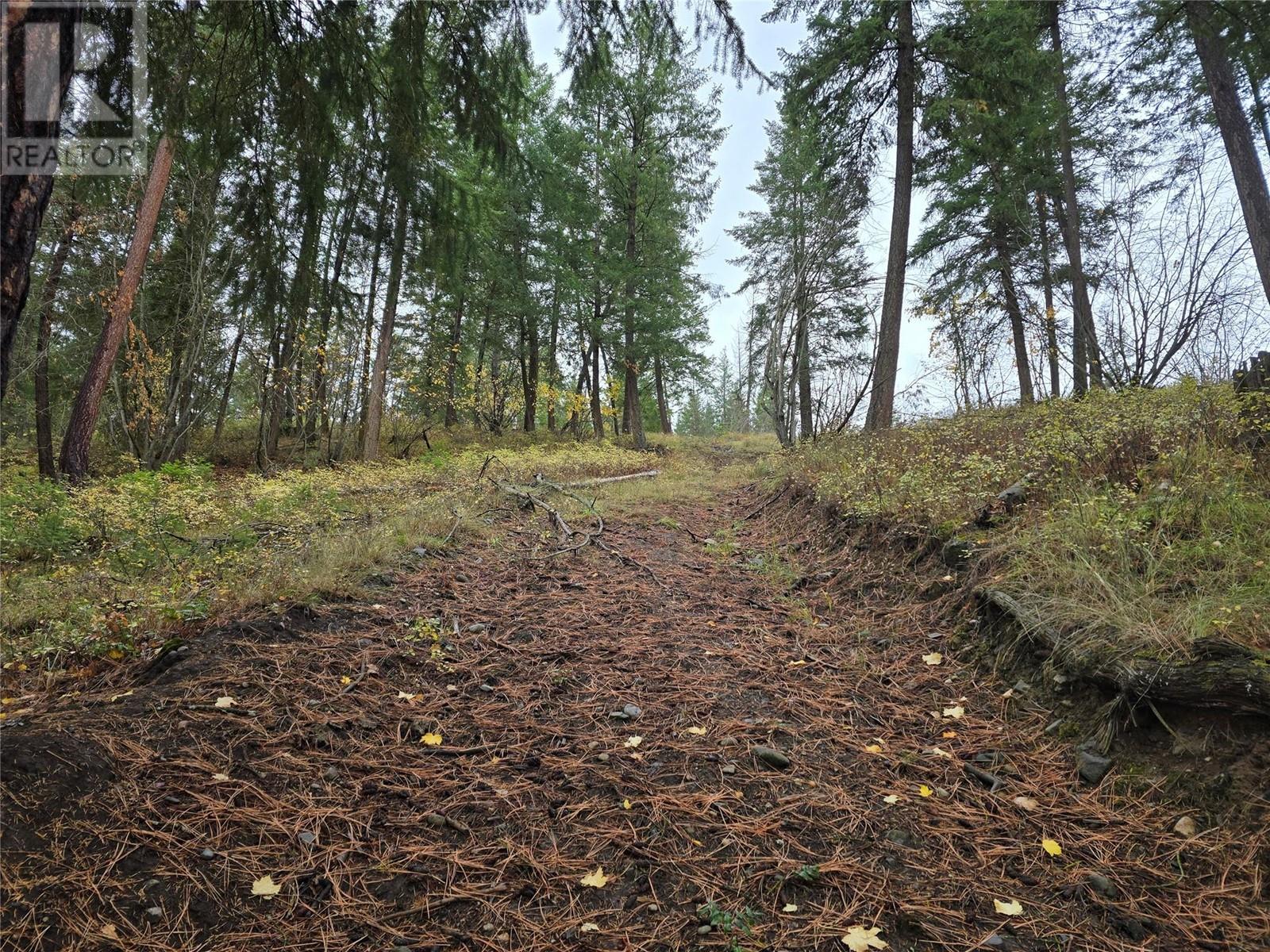 5135 Salmon River Road, Spallumcheen