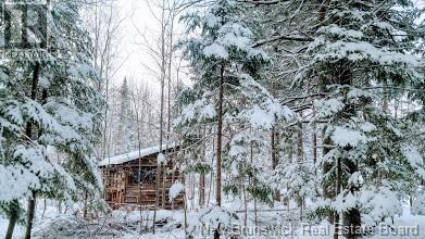 Photo 33 of 122 South Knowlesville Road, Knowlesville NB