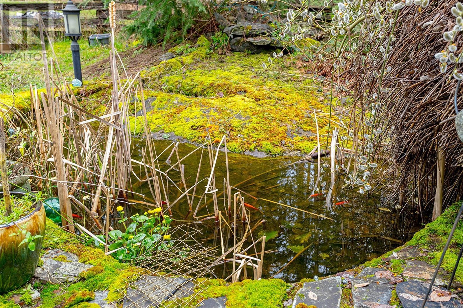 1559 Sawyer Rd, Langford real estate listing 993006