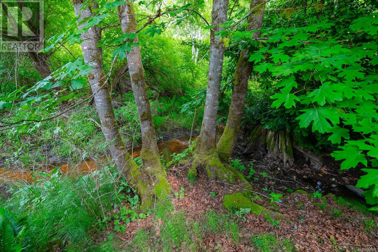 5801 Compton Rd, Port Alberni real estate listing 993391