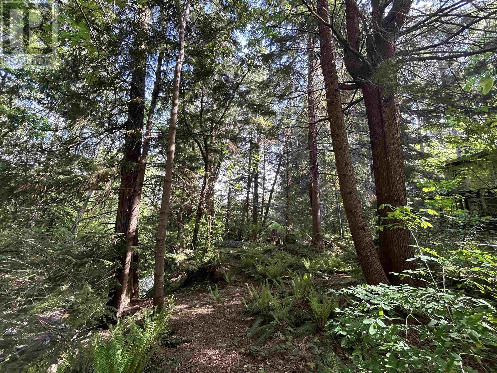9063 PARADISE VALLEY ROAD, Squamish real estate listing R2982879