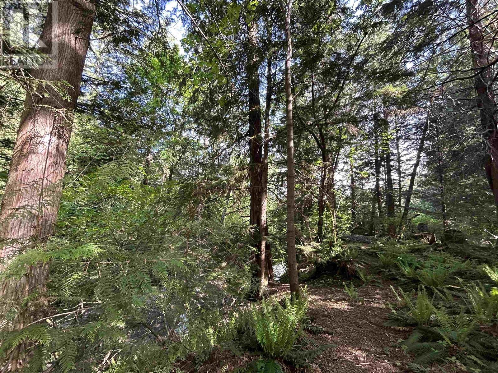 9063 PARADISE VALLEY ROAD, Squamish real estate listing R2982879