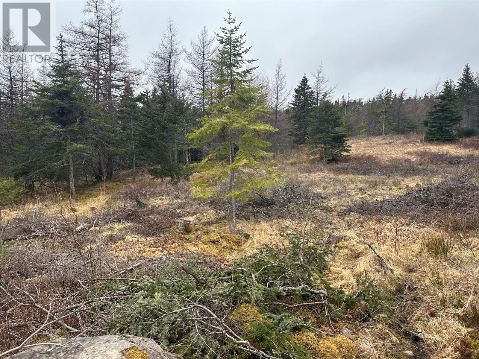 Photo 2 of 11 North Side Road, Holyrood NL