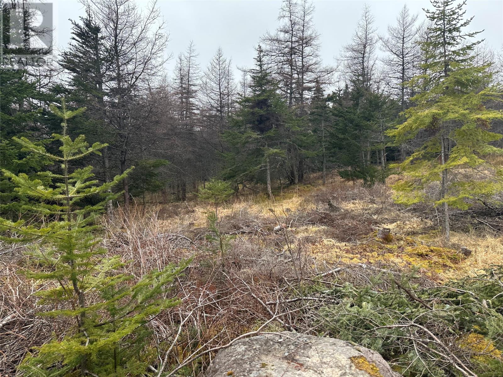 Photo 3 of 11 North Side Road, Holyrood NL