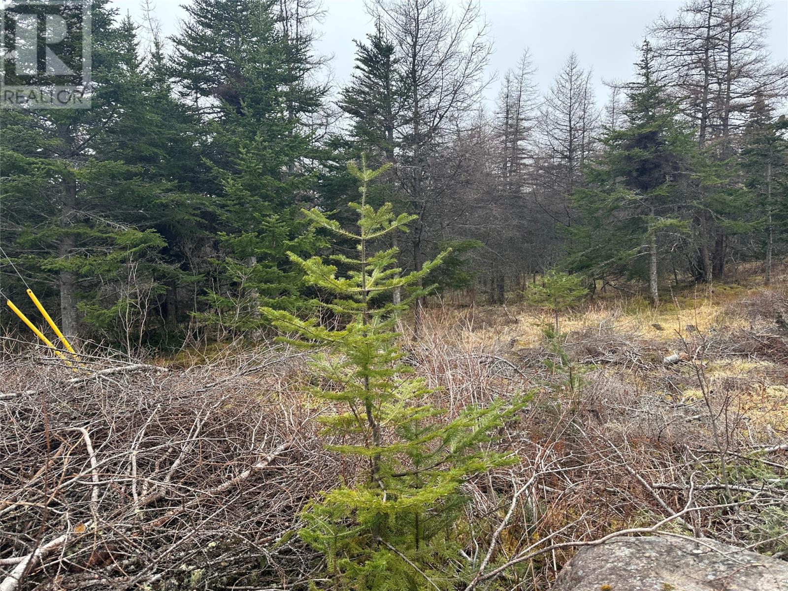 Photo 4 of 11 North Side Road, Holyrood NL