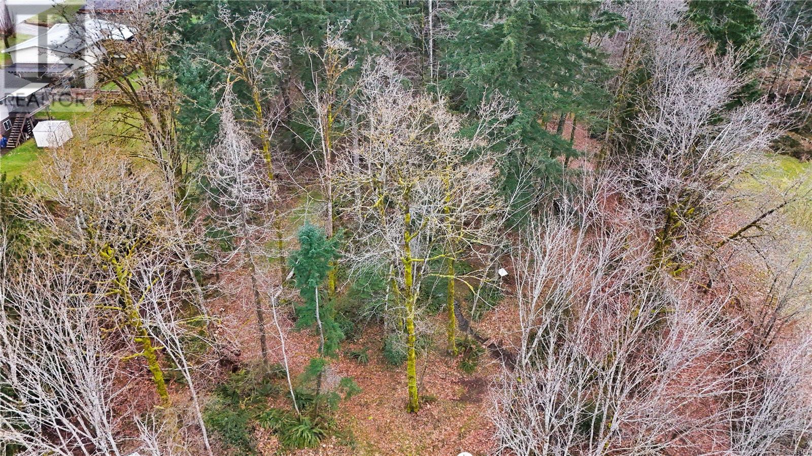 4284 Scott St, Port Alberni real estate listing 993167