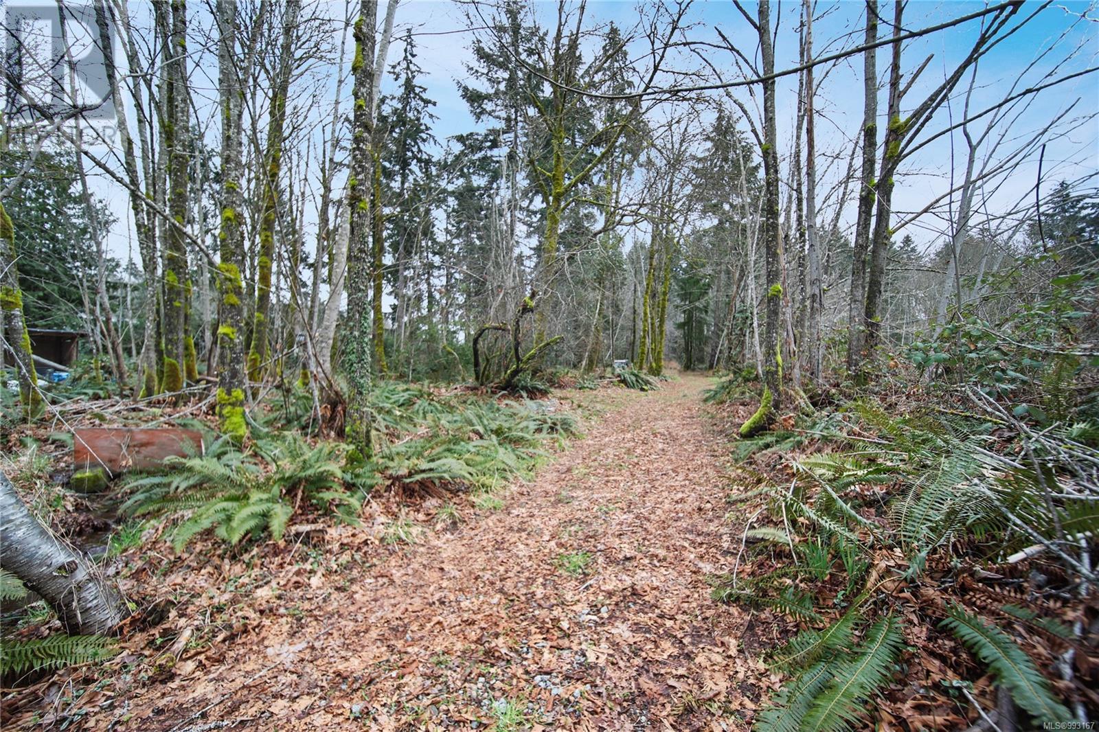4284 Scott St, Port Alberni real estate listing 993167