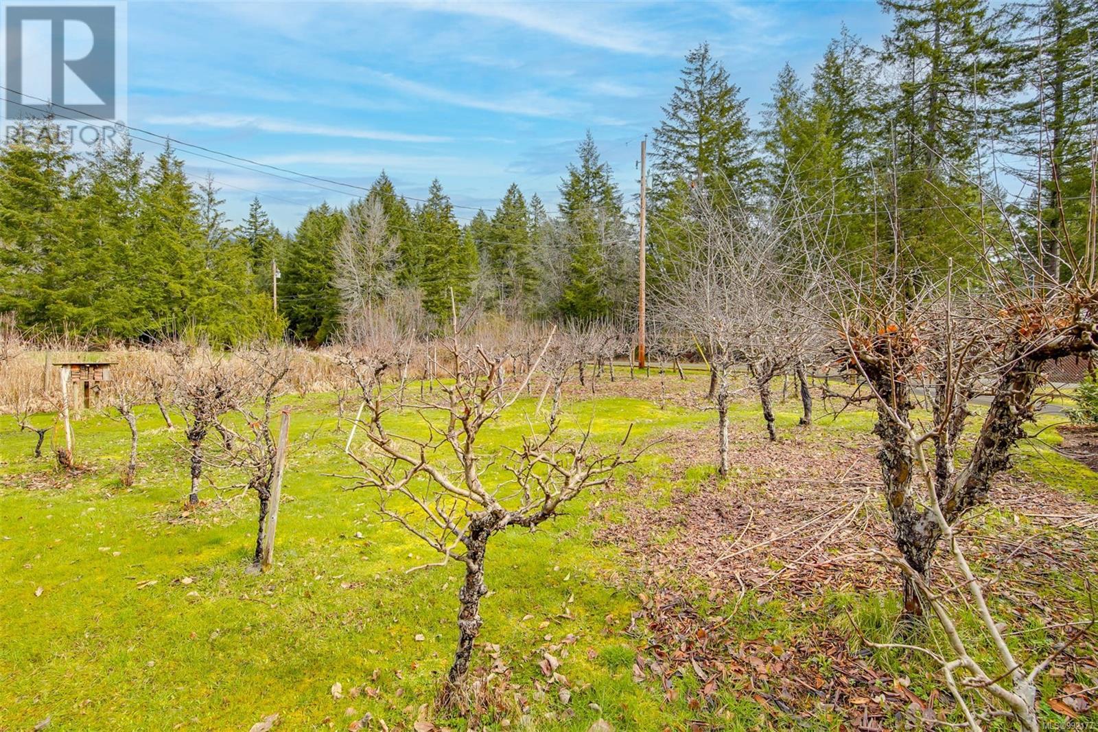 6801A Salford Rd, Port Alberni real estate listing 992177