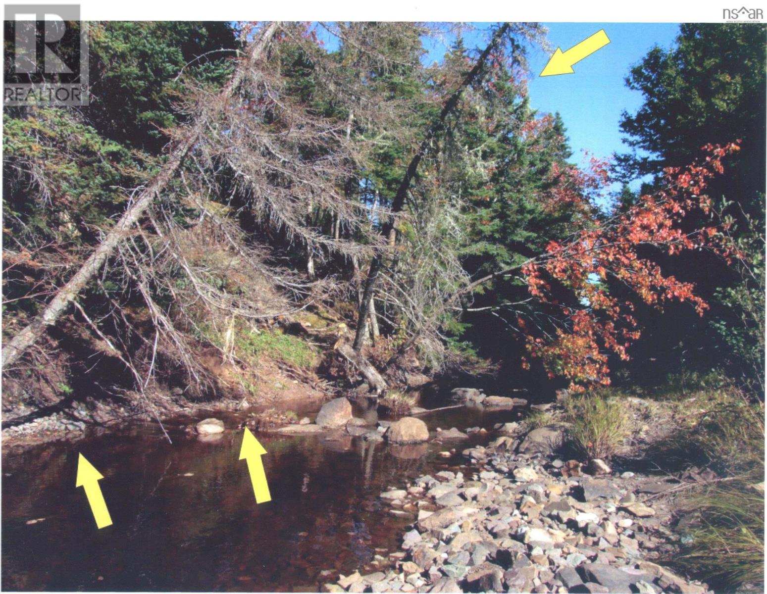 Property 2 of 3 of Black River Road