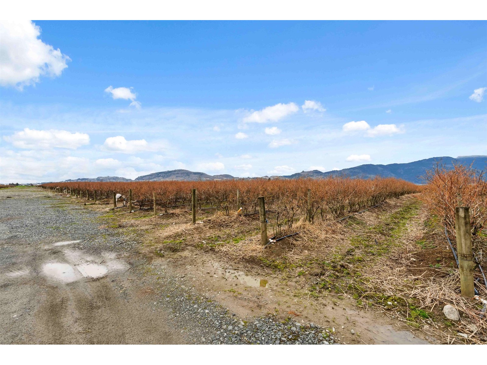 1885 MARION ROAD, Abbotsford