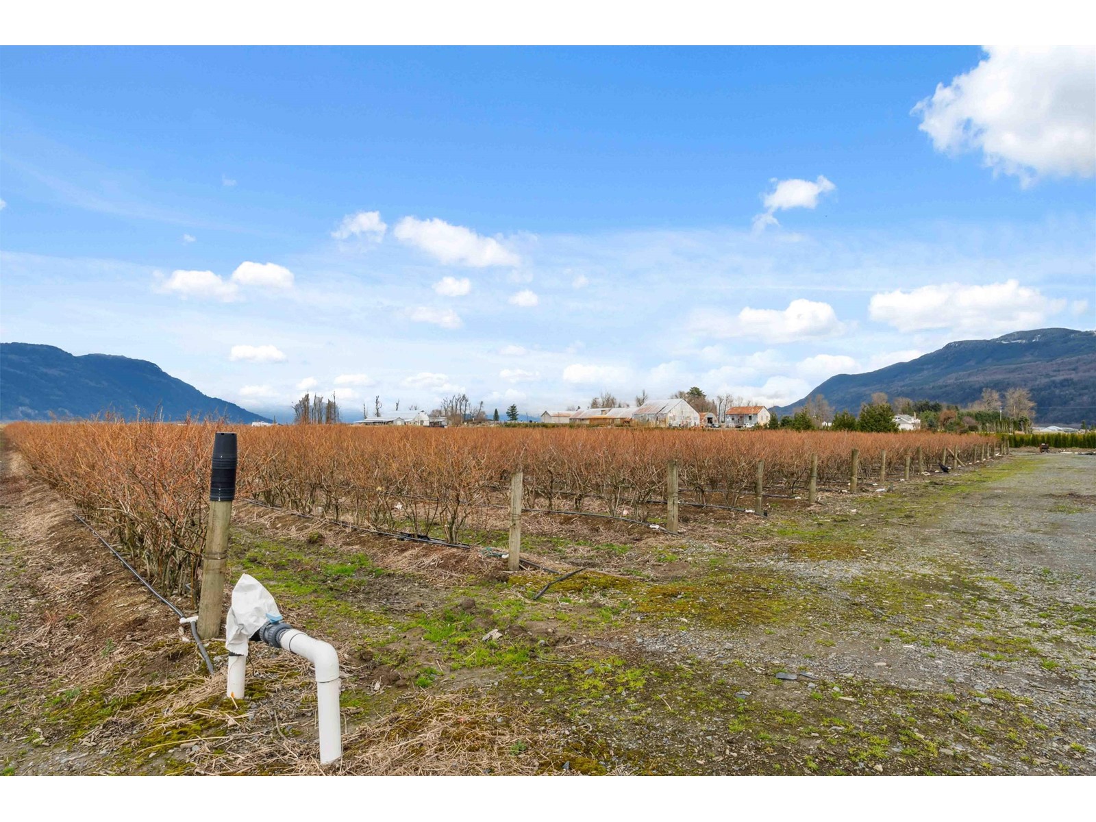 1885 MARION ROAD, Abbotsford