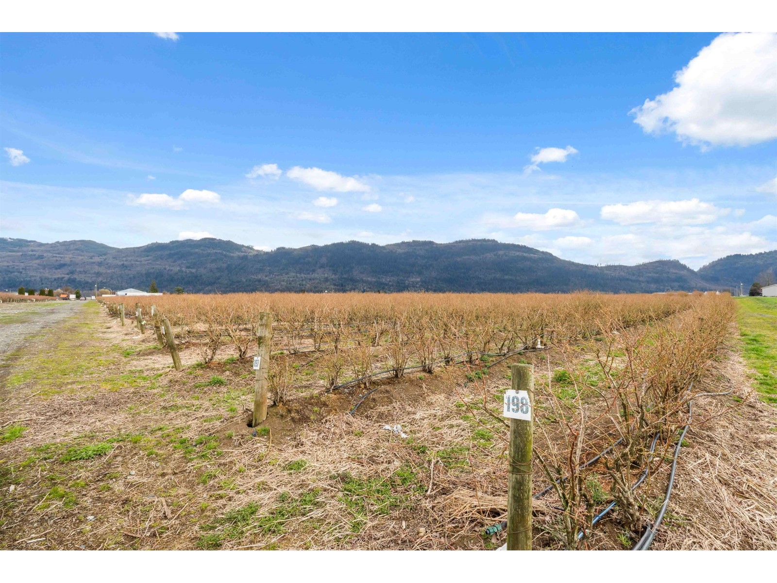 1885 MARION ROAD, Abbotsford