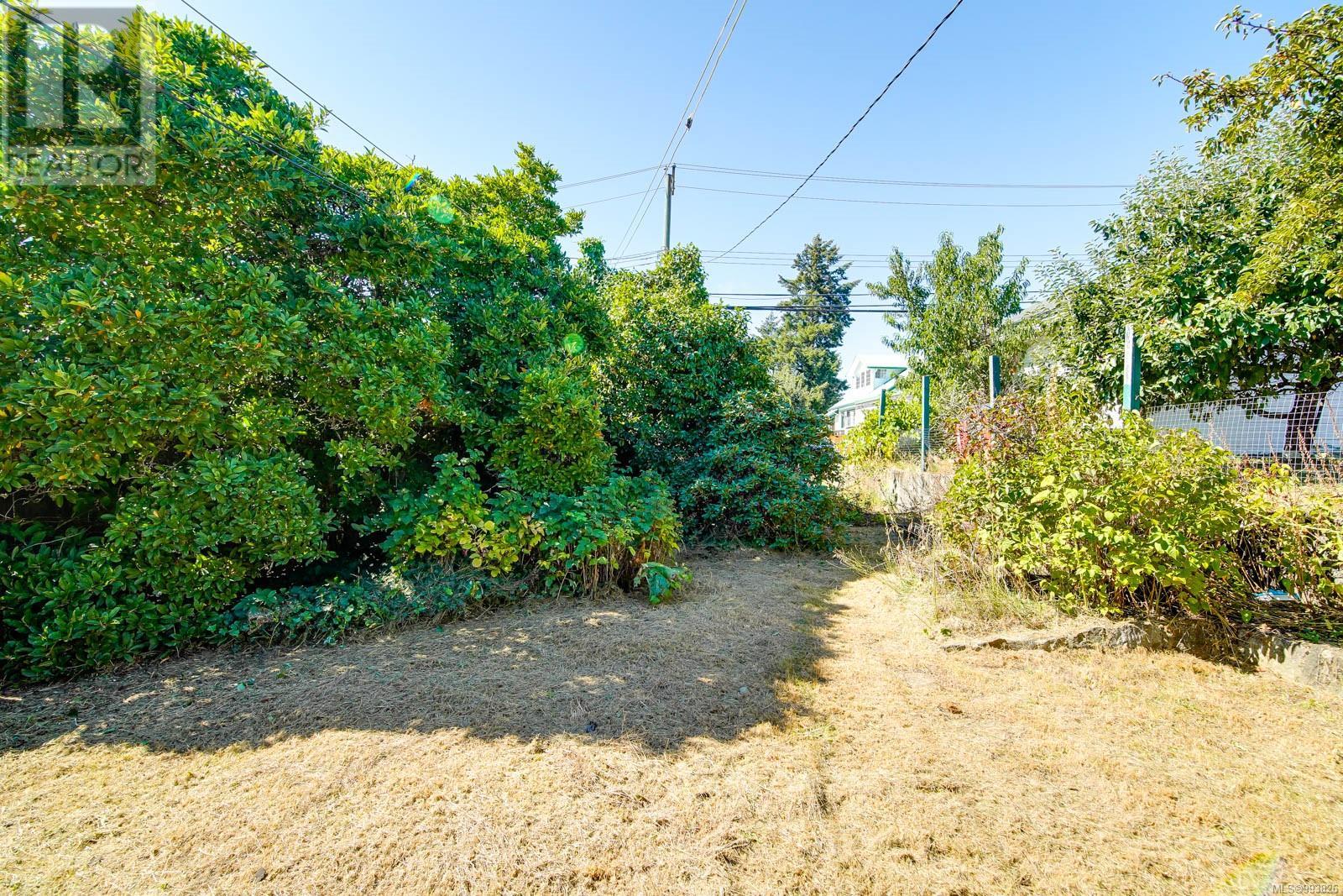 2820 3rd Ave, Port Alberni real estate listing 993826