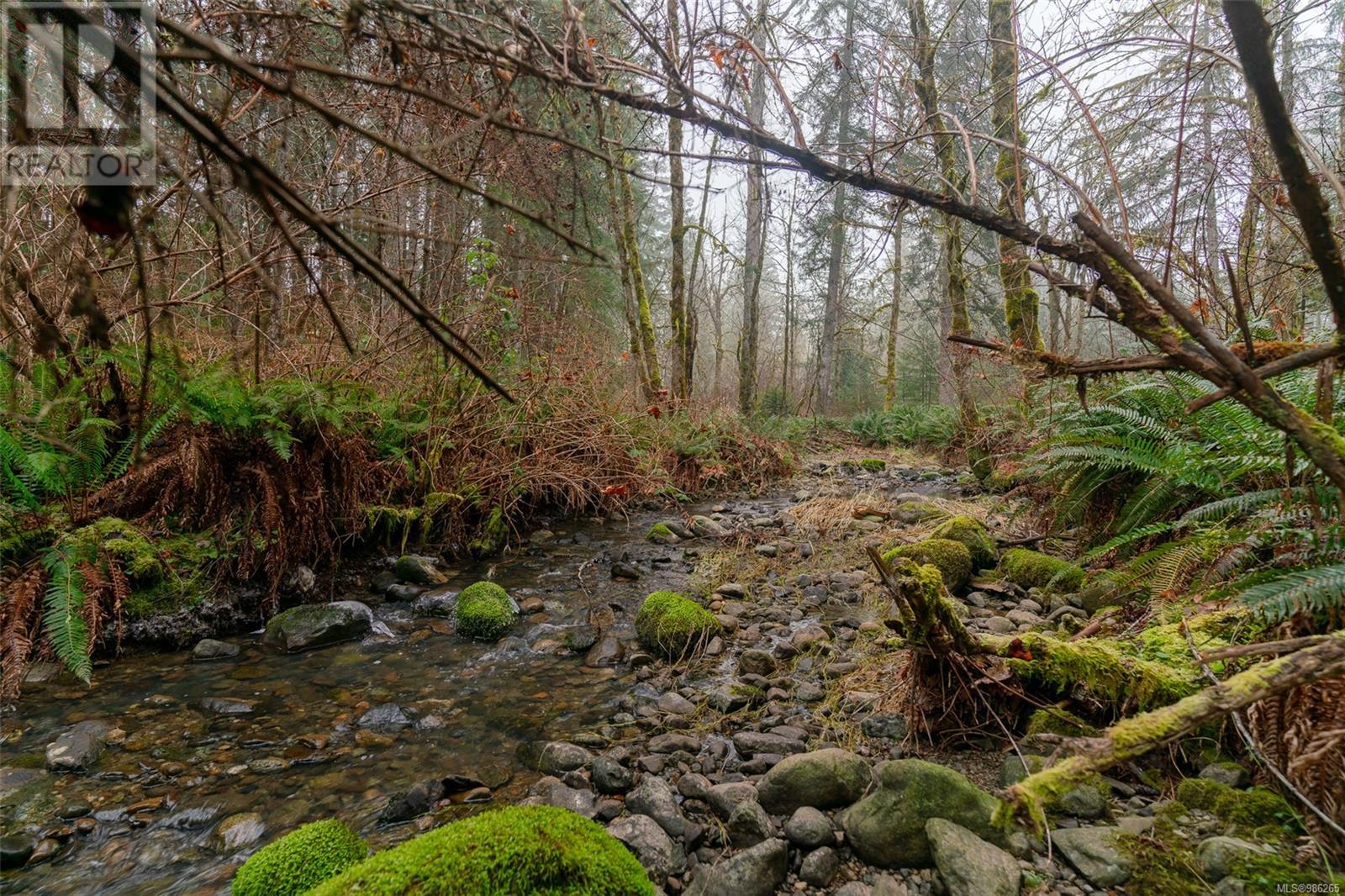 7100 Beaver Creek Rd, Port Alberni real estate listing 986265