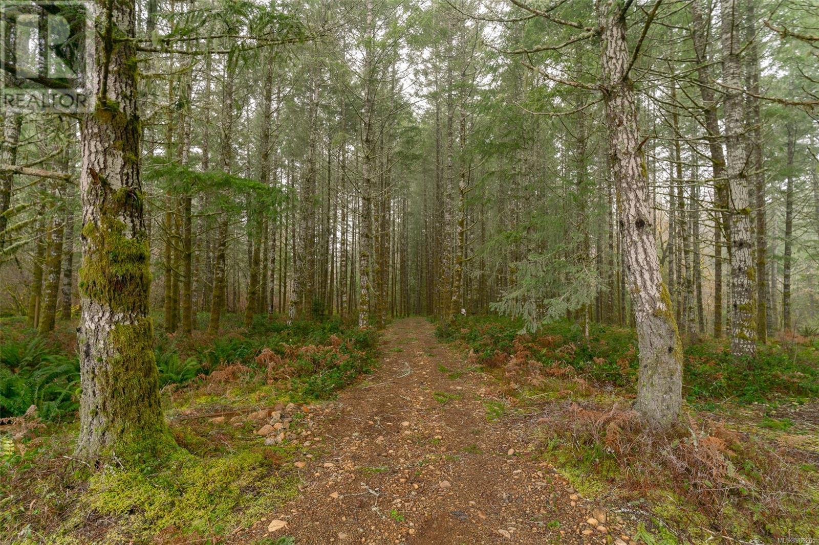 7100 Beaver Creek Rd, Port Alberni real estate listing 986265