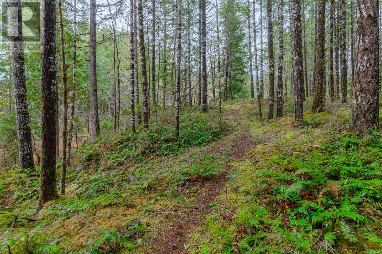 7100 Beaver Creek Rd, Port Alberni real estate listing 986265